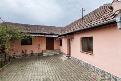 Casă individuală cu 3 camere în Cetate