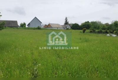 COMISION 0% Casa batraneasca cu 2000mp teren, front stradal 32ml - 4