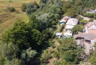 Casa de vanzare | Teren 3.000 mp | Izvor | Manesti - Coada Izvorului - 13