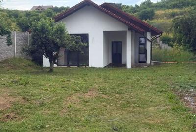 Casă individuală zona Schit |500 mp teren|3 dormitoare|demisol-125000E - 1