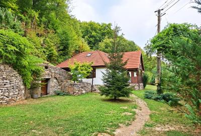 Casă de vacanță de vânzare – Săcărâmb, Munții Metaliferi - 2