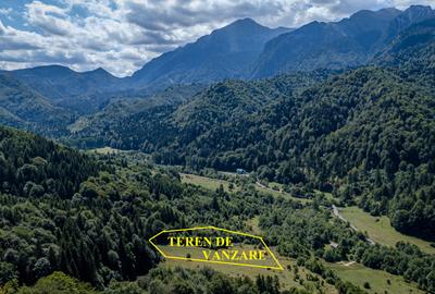 Teren superb in Rasnov Glajerie retras si intim - 3