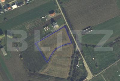 Teren Construcții intravilan de 7020 mp, în Vetiș