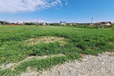 Teren intravilan 3177 mp, zona Serbanesti - 1