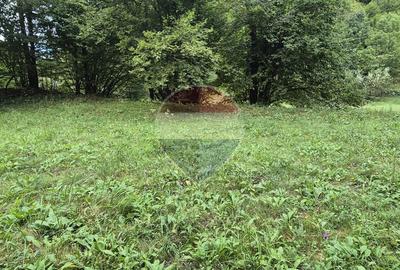 Teren de vis de 2.800 mp pe Valea Tărcăului – Cu lac natural și pădure - 6