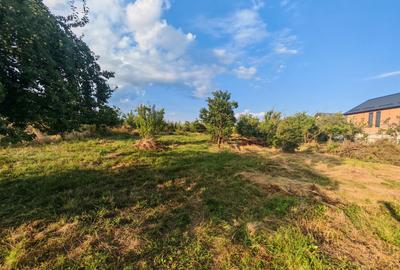 Teren intravilan 1.600 mp Mioveni – Zona Pruni - 7