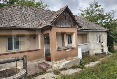 Casă individuală cu 3 camere în Sud-Vest