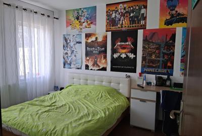 Sanmihaiul Roman - Casa individuala cu 3 dormitoare, complet mobilata si utilata - 13