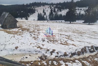 Vand teren intravilan muntele rece - 8