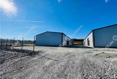 Spatiu industrial de inchiriat in Selimbar 189 mp constructie noua - 10