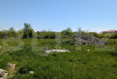 Teren Construcții intravilan de 750 mp, în Priseaca