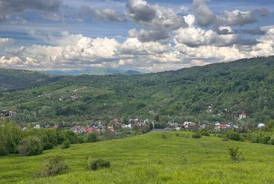 Vand Proprietate Premium 11,5 ha teren si constructii - 4