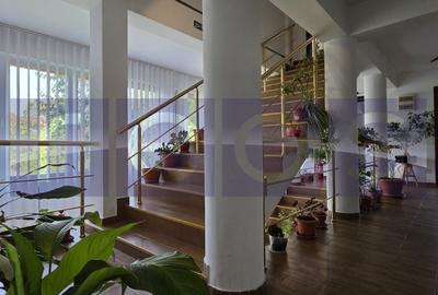 Casă individuală cu 7 camere în Vatra Luminoasă