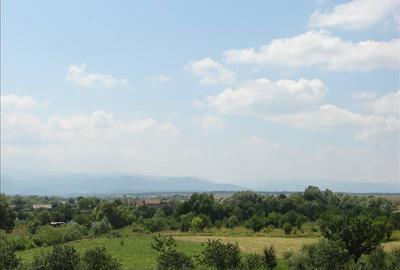 APARTAMENT LUX IN SELIMBAR - 6