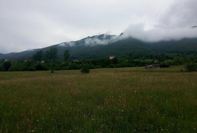 Teren parcelat in suprafata de 1100 mp, in Tohanita acces din soseaua Branului - 6