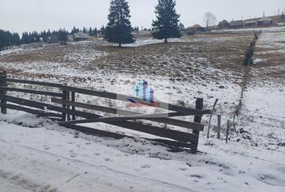 Vand teren intravilan muntele rece - 1