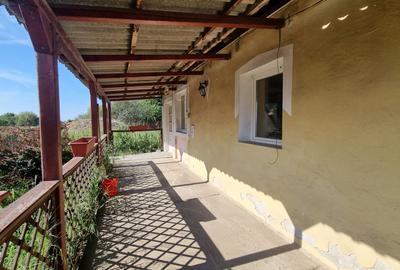 Casa cu teren 37 arii Apateu 45000 Euro - 3