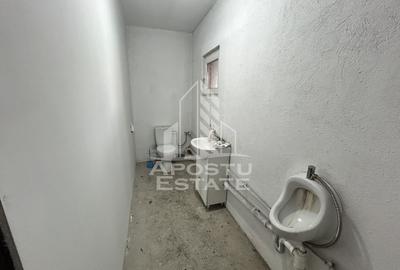 Service auto, de inchiriat, Cheveresul Mare, 20 km de Timisoara. - 8