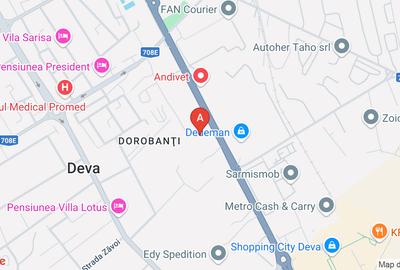 Teren Construcții intravilan de 29216 mp, în Dorobanți