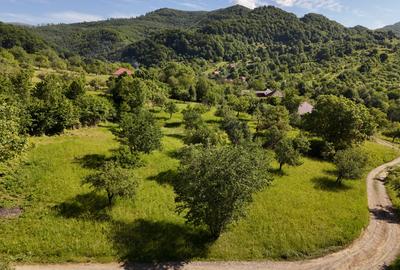 Teren intravilan 5.105 mp, Baia Sprie, la intrare pe Valea Chiuzbăii - 7