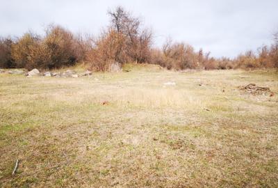 Vând teren agricol  2 ha cu deschidere la Dunăre - 4