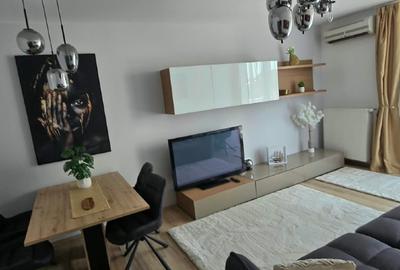 Apartament cu 2 camere decomandat, mobilat în Aradului