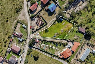 Teren Construcții intravilan de 1430 mp, în Cărpiniș