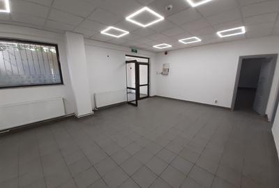 Zona bd. Th. Pallady - hala si birouri 550mp - 7