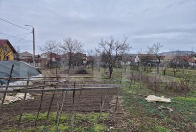 Casă individuală cu 2 camere în Bărăbanț