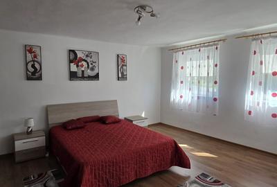 Casa in Bod zona centrala,  P+M, 8 camere, teren 1111 mp, fantana proprie. - 8