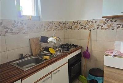 Casa de vanzare cu teren si toate utilitatile - Ludus - 5
