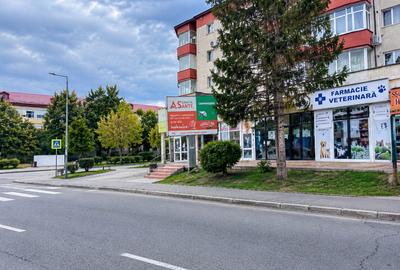 Spatiu comercial de inchiriat-piata centrala bacau - 3