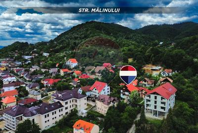Sediu de firma de inchiriat | Valea Rosie | 350 mp - 6