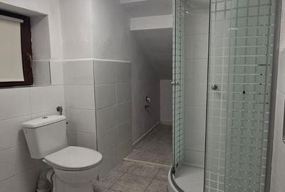 Apartament la casa de inchiriat 3 camere Cisnadie - 5