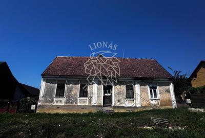 Casă individuală cu 3 camere în Crainimăt