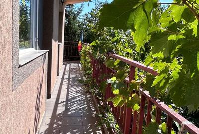Casă individuală Buftea, 3.162 mp teren, ieșire spre lac - 37
