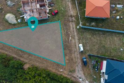 Teren intravilan cu proiect Duplex în Remetea Mare - 1