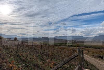 Teren agricol extravilan de 2000 mp, în Șard