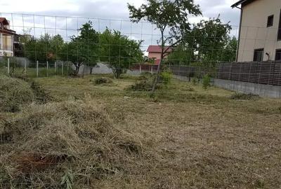 Teren intravilan de 1000 mp, în Mogoșoaia
