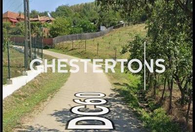 TEREN INTRAVILAN 1.736 MP | BOGATI, ARGES  |  30 km de Pitesti |deschidere  la - 3