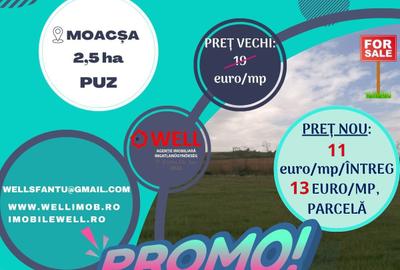 Teren intravilan de vânzare în Moacșa (Eresteghin)! - 1