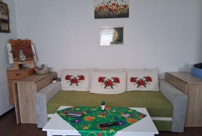 Sanmihaiul Roman - Casa individuala cu 3 dormitoare, complet mobilata si utilata - 5