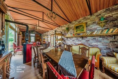 Afacere la cheie: Pensiune functionala sau casa de locuit, Ghioroc - 51