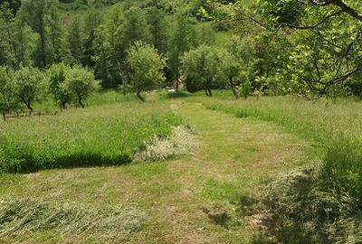Prahova-Cosmina de Sus, Teren cu casa p+1 - 7