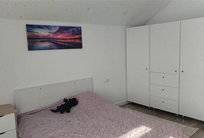 Casa individuala cu etaj, gradina, terasa,  Sanpetru, Brasov - 9