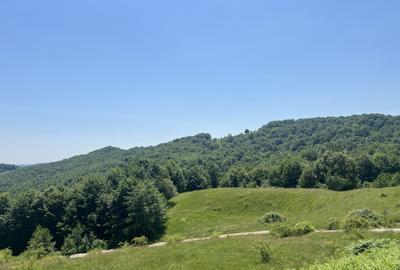 Investiție Turism | Casă | 5164 mp teren | Lac Propriu | Malu cu Flori - 17