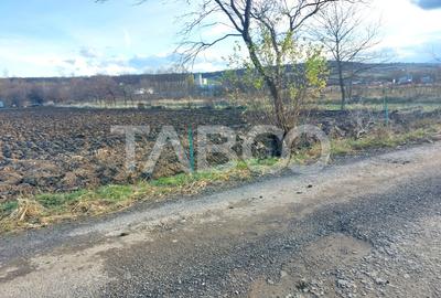 Teren intravilan 1687 mp pentru cabana zona de gradini Cisnadie - 4