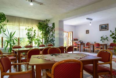 Vanzare vila-pensiune D+P+M 10 camere de vânzare, Daesti jud. Valcea - 47