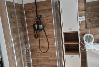 Sanmihaiul Roman - Casa pe parter, complet mobilata si utilata - 14