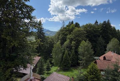 Pensiune Trei Brazi Predeal - 2